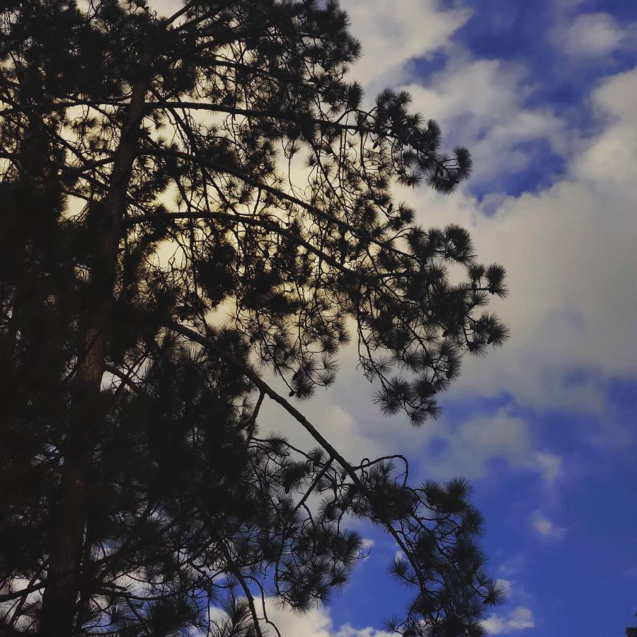 Breathe Inn Kasol Dış mekan fotoğraf